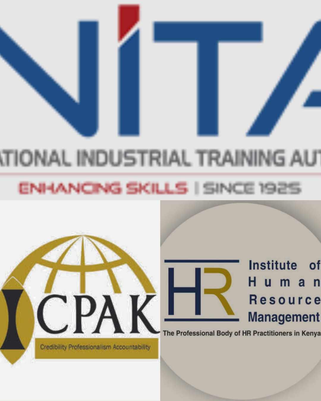 Our Partners